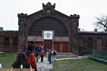 IMG_ (10121)